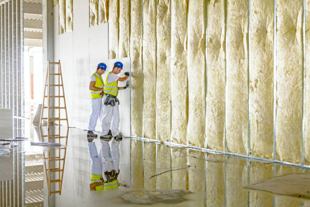 Trusted Morgantown, KY Insulation Contractor Experts